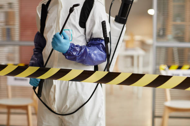 Professional Sewage Cleanup technician working in Bradley, CA